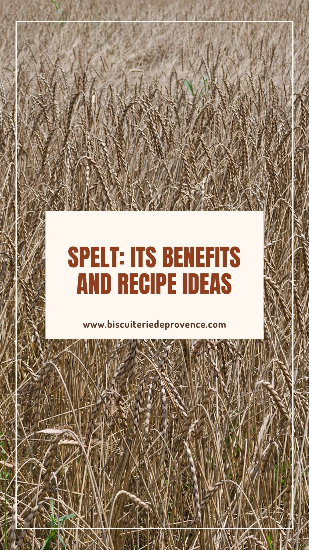 spelt : benefits and recipe ideas 